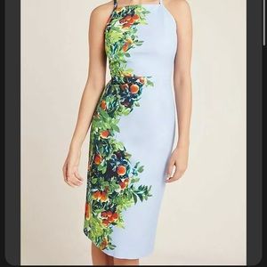 Anthropologie Maeve Orange Grove Dress